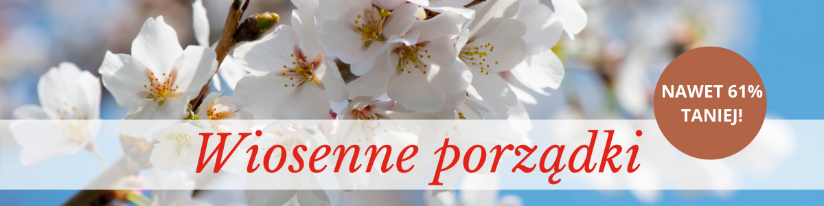 Promocje